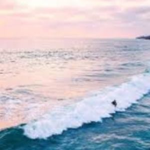 Meet your Posher, Sydney